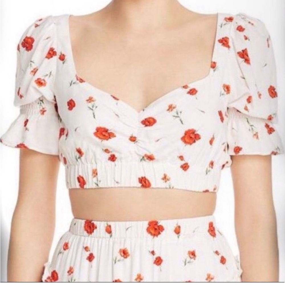 Charlie Holiday Crop Top Sz 4